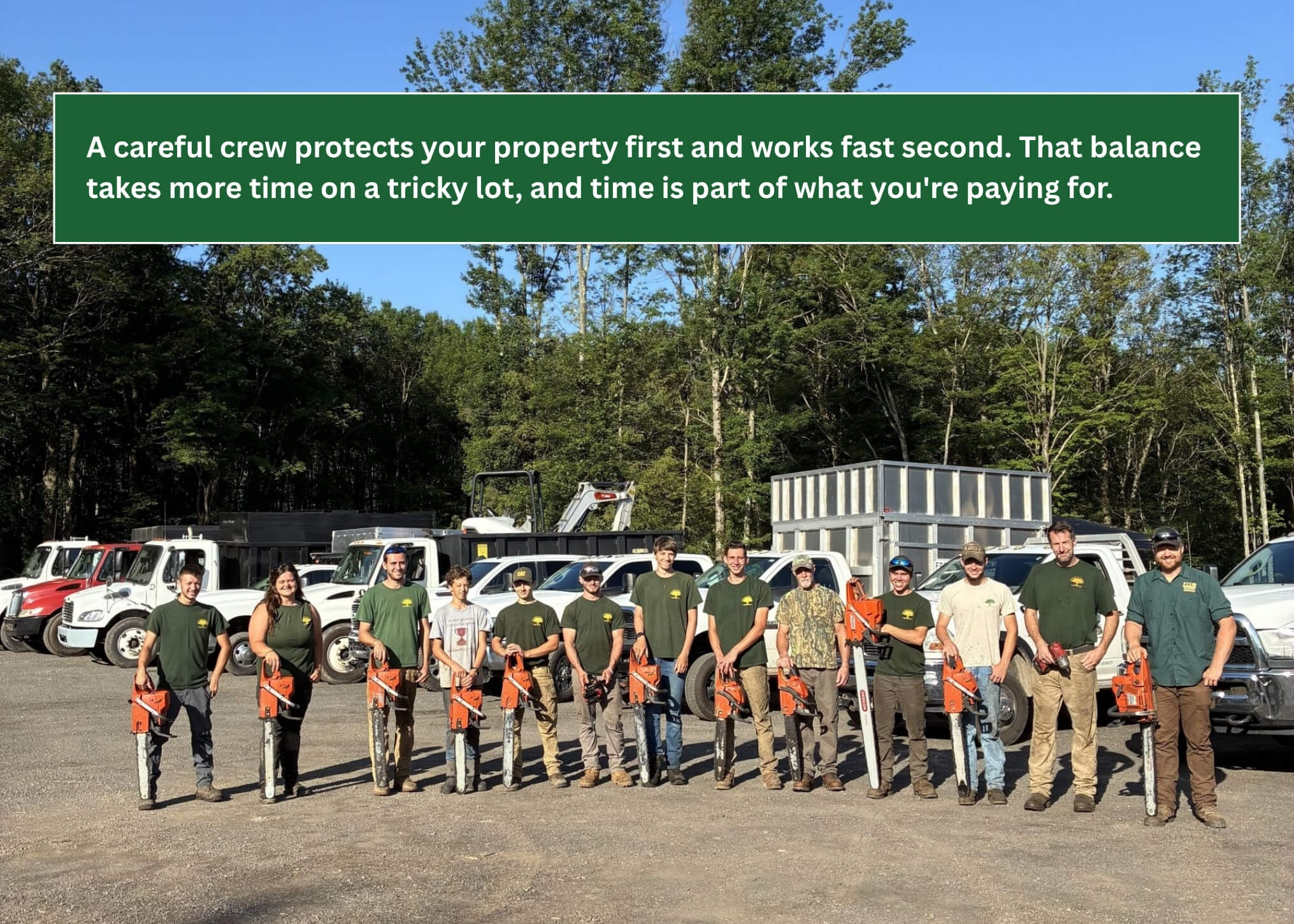 Tree removal graphic showing how careful crews protect property and work efficiently
