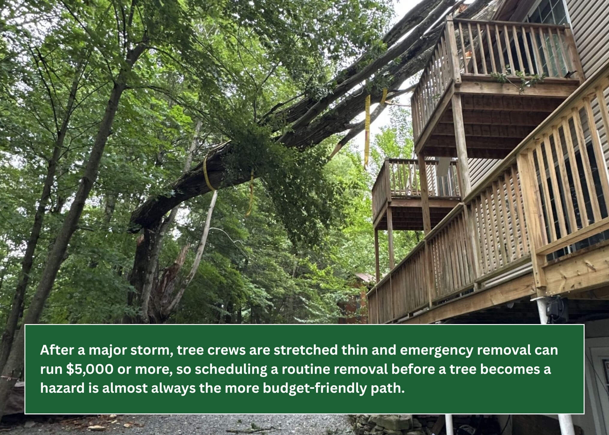 Tree removal cost graphic explaining why major storms can increase emergency pricing