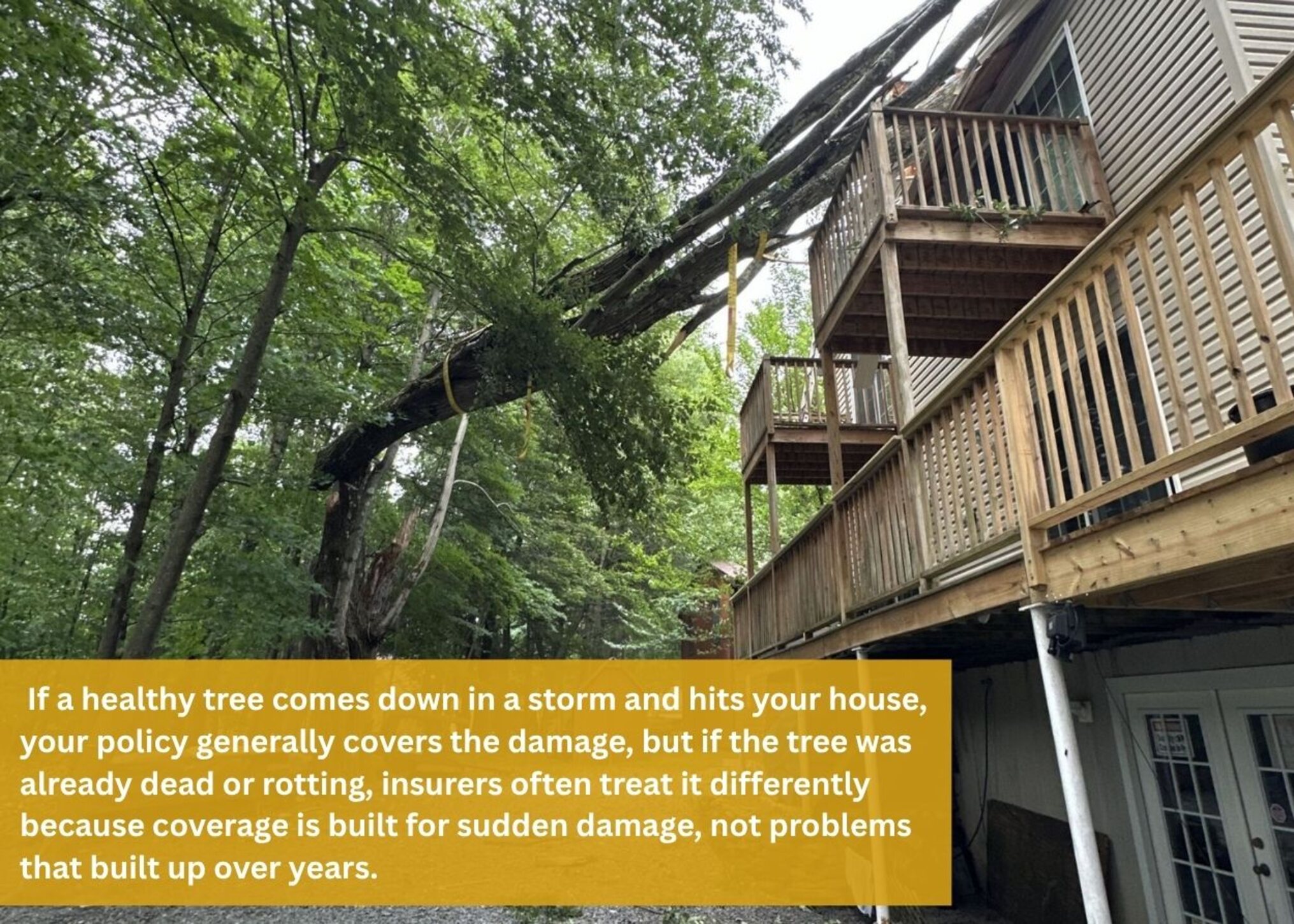 Storm-damaged tree limb resting over a home's deck and roof in Northeast Pennsylvania