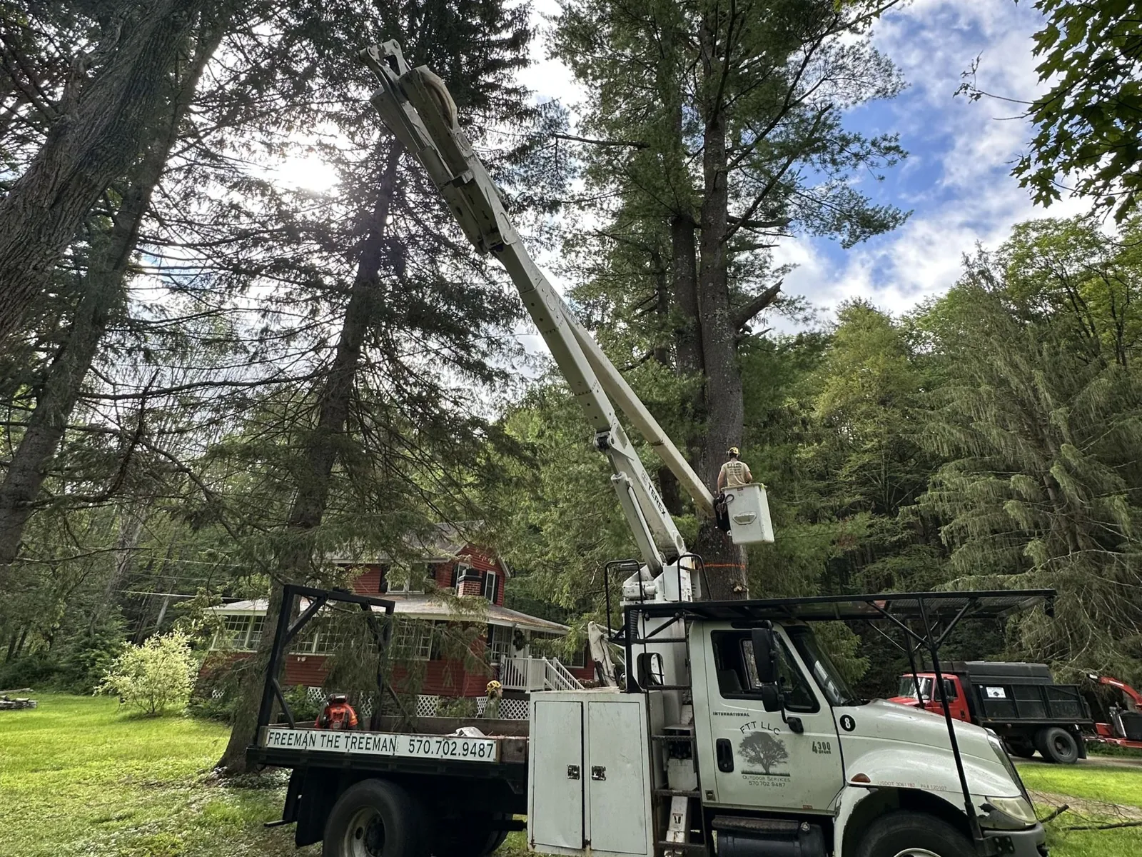 Freeman The Treeman bucket truck on a job site