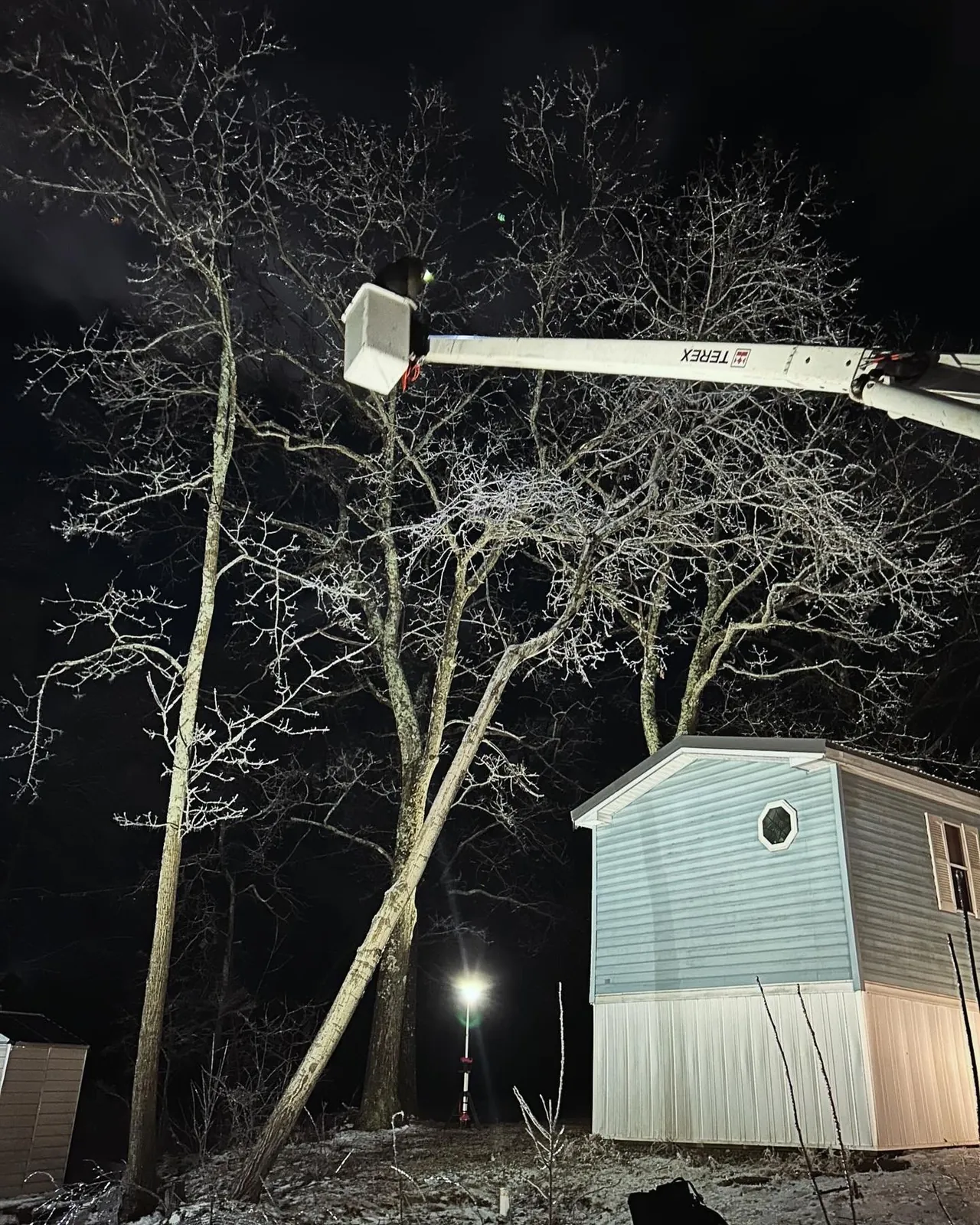 Freeman The Treeman crew on a recent job site