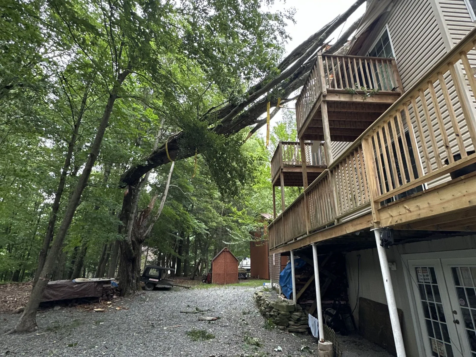 Freeman The Treeman bucket truck working alongside a residential property