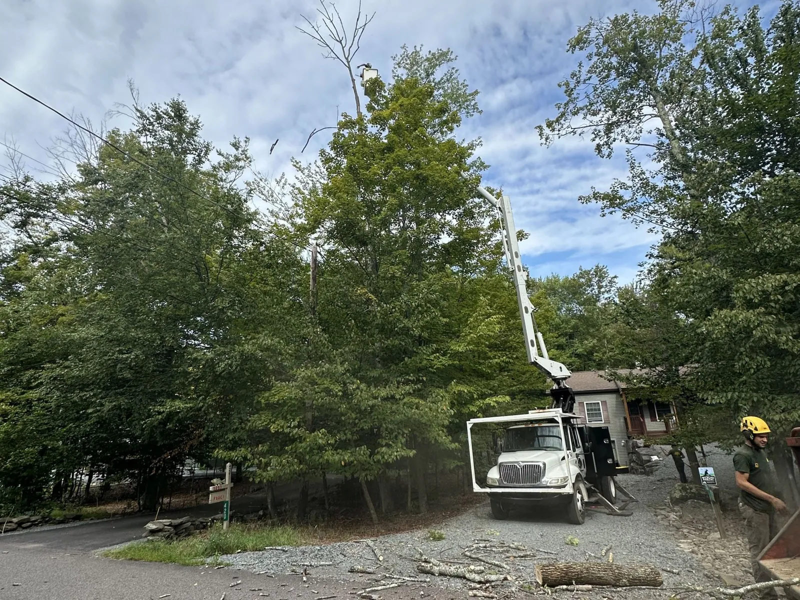 Completed tree work on a Northeast PA property