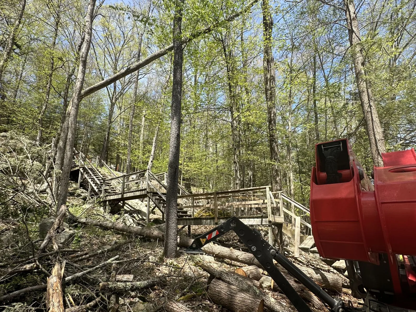 Tree work in progress on a Northeast PA property