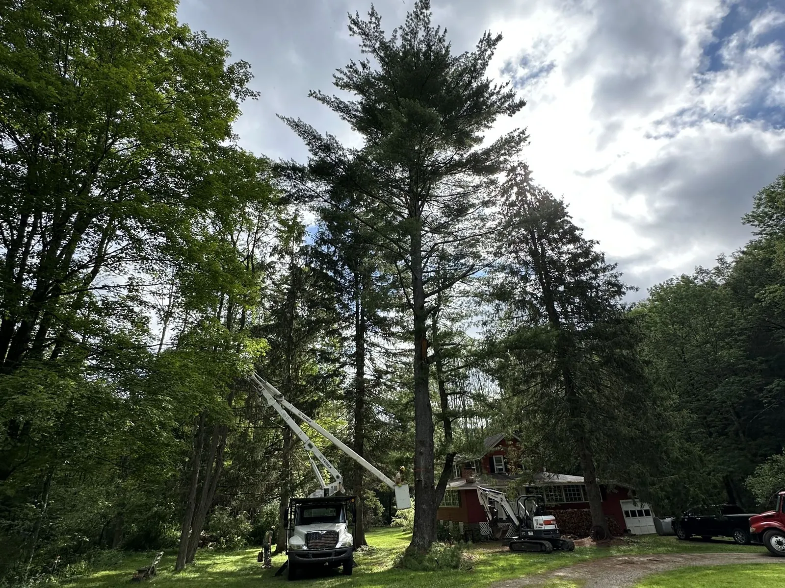Freeman The Treeman equipment on site