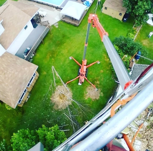 Crane removing a diseased tree from a residential backyard