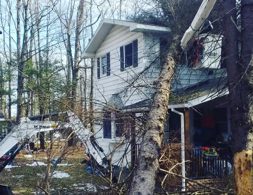 Emergency tree removal — large tree resting on a damaged home
